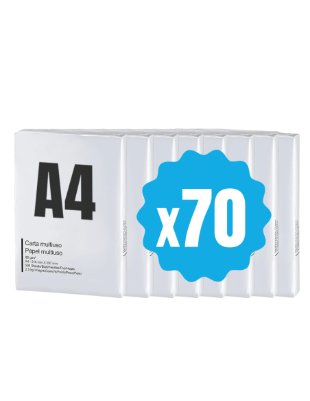 Set 70 Risme di carta 42757 formato A4 500 fogli da 80 g Eins Universal Copy