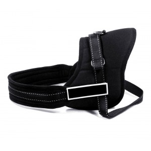 Pettorina di addestramento imbottita per cani bardatura regolabile sport guinzaglio dog harness 2