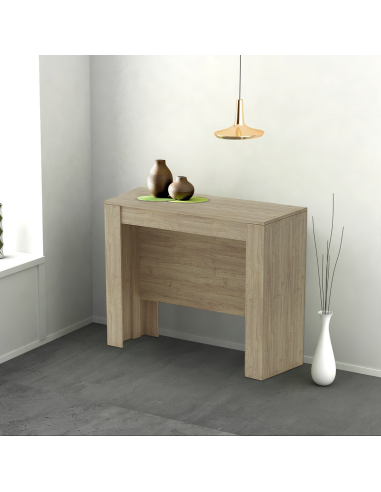 Tavolo Allungabile 14 Posti 3mt Salvaspazio...