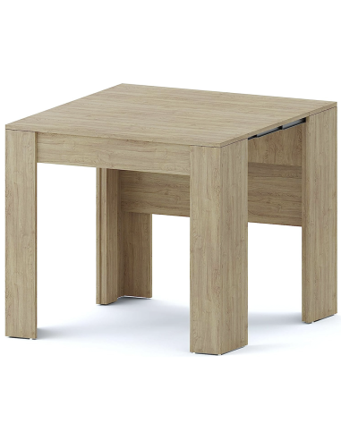 Tavolo Allungabile 14 Posti 3mt Salvaspazio...