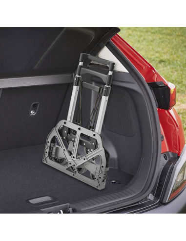 Carrello Portapacchi Pieghevole Alluminio...