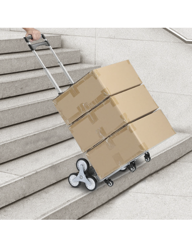 Carrello Portapacchi Pieghevole Alluminio...