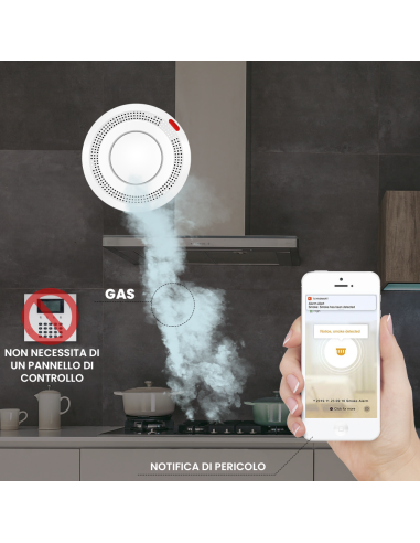 Rilevatore di Fumo Wireless Controllo con App...