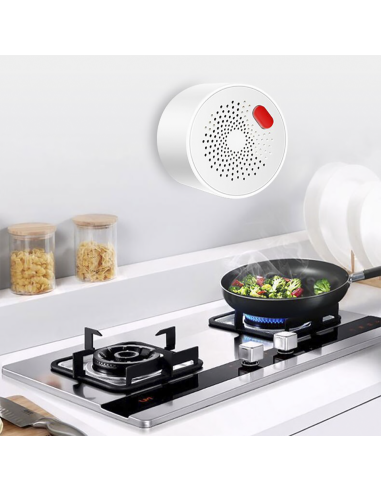 Rilevatore di Gas Wi-Fi Controllo con App...