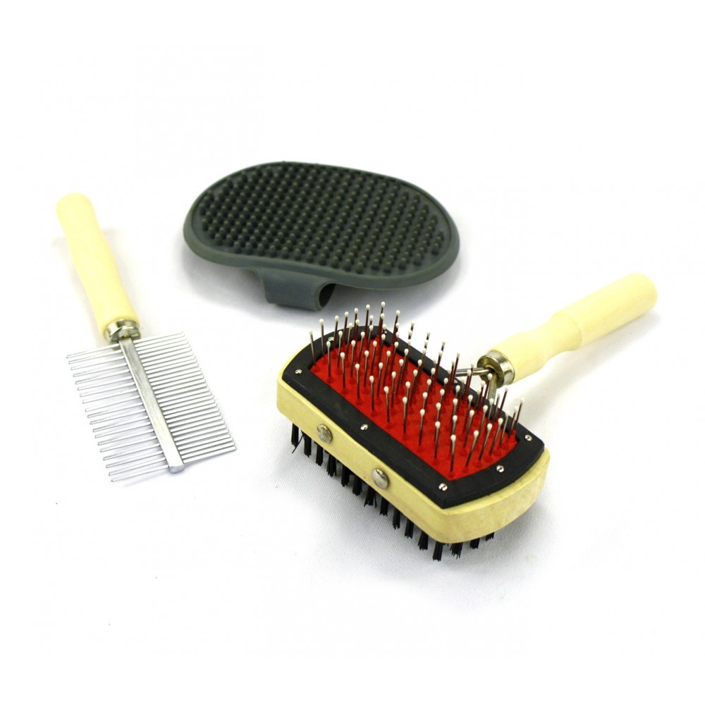 Kit di spazzole per la pulizia e la cura del cane