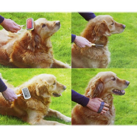 Kit di spazzole per la pulizia e la cura del cane