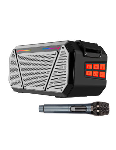 Altoparlante Stereo Bluetooth Portatile...
