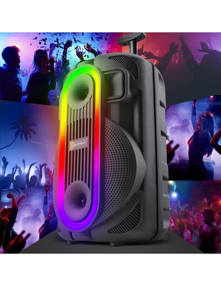 Altoparlante Bluetooth Portatile Subwoofer con Aux TF USB Radio FM e Microfono