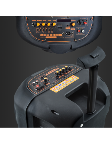 Altoparlante Bluetooth Portatile Subwoofer con...