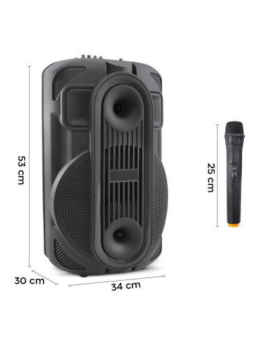 Altoparlante Bluetooth Portatile Subwoofer con...