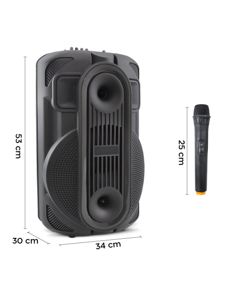 Altoparlante Bluetooth Portatile Subwoofer con Aux TF USB Radio FM e Microfono