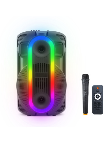 Altoparlante Bluetooth Portatile Subwoofer con Aux TF USB Radio FM e Microfono