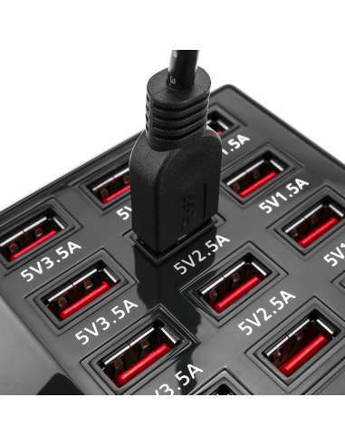 Stazione di Ricarica Simultanea 5V 12A Ingresso...