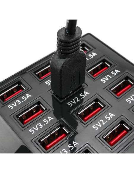 Stazione di Ricarica Simultanea 5V 12A Ingresso 12 Porte USB Carica Rapida 60W