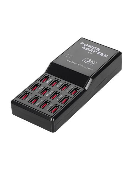 Stazione di Ricarica Simultanea 5V 12A Ingresso 12 Porte USB Carica Rapida 60W