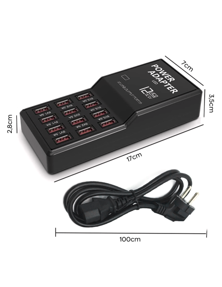 Stazione di Ricarica Simultanea 5V 12A Ingresso 12 Porte USB Carica Rapida 60W