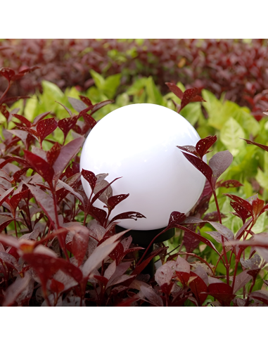 4pz Lampada Sfera Ricarica Solare 15cm da...