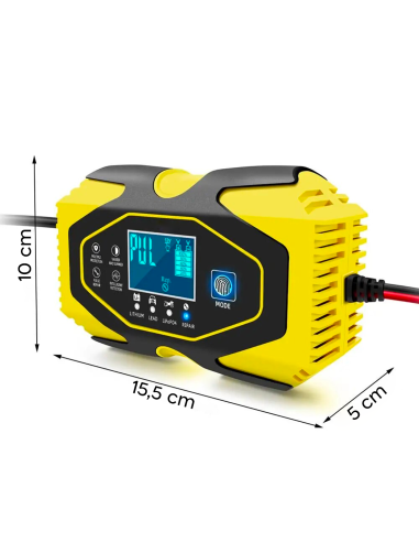 Caricabatteria Auto e Moto per Batteria Litio e...
