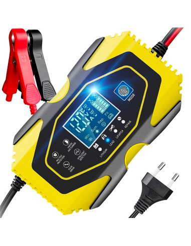Caricabatteria Auto e Moto per Batteria Litio e...