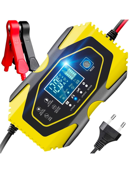 Caricabatteria Auto e Moto per Batteria Litio e Piombo 12-24V con Cavi e Display