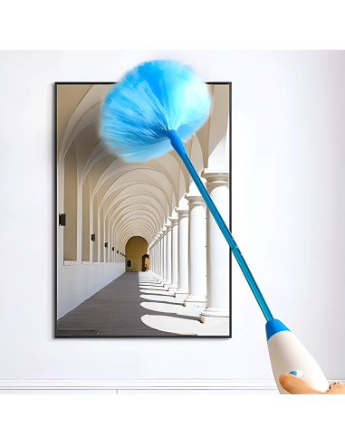 Spolverino Elettrico Ricaricabile Spazzola...