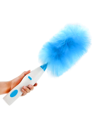 Spolverino Elettrico Ricaricabile Spazzola...