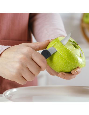 Set 9 Coltelli da Cucina con Custodia...