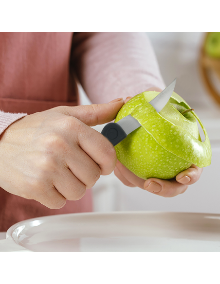 Set 9 Coltelli da Cucina con Custodia Professionali in Acciaio Inox Multiuso