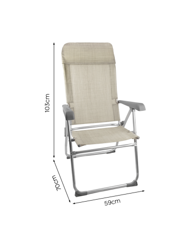 Sedia Sdraio Pieghevole con Braccioli Schienale...