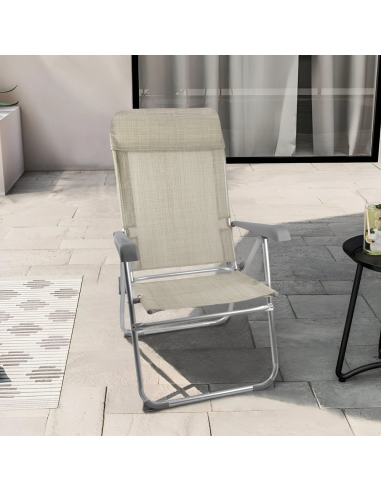 Sedia Sdraio Pieghevole con Braccioli Schienale...