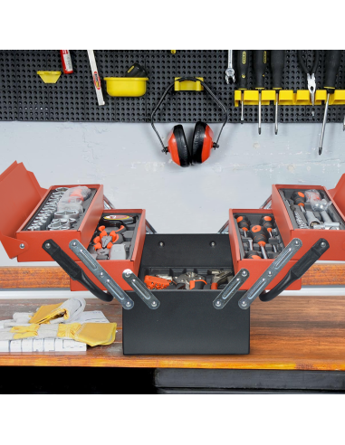 Cassetta Porta Attrezzi Valigetta Portatile...