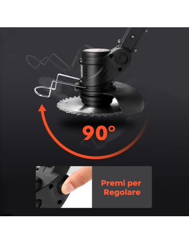 Decespugliatore Cordless 2 Batterie 21V con...