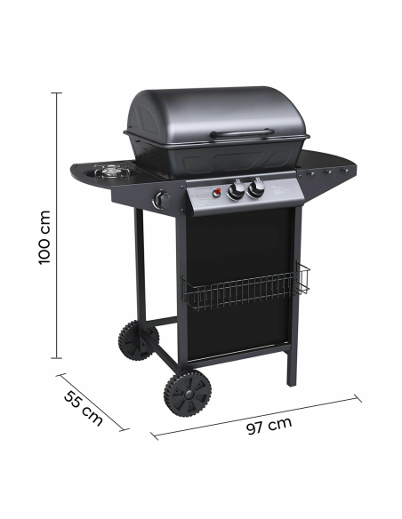 Barbecue a GAS con Fornello 2,9KW 2 Bruciatori con Coperchio e Griglia Acciaio