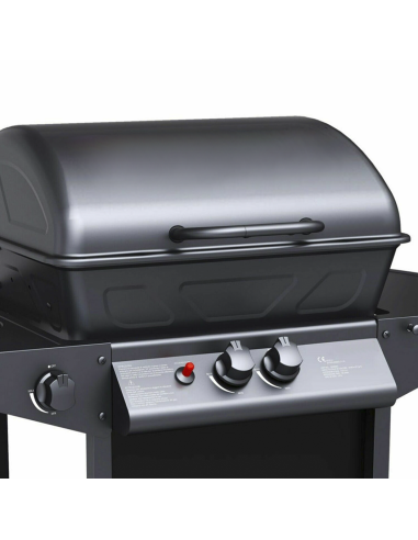 Barbecue a GAS con Fornello 2,9KW 2 Bruciatori...
