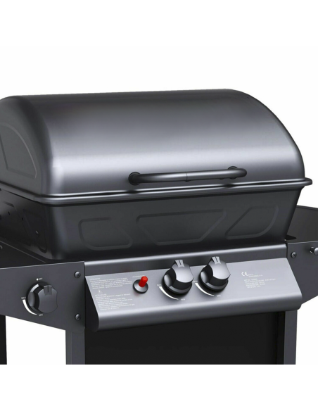 Barbecue a GAS con Fornello 2,9KW 2 Bruciatori con Coperchio e Griglia Acciaio