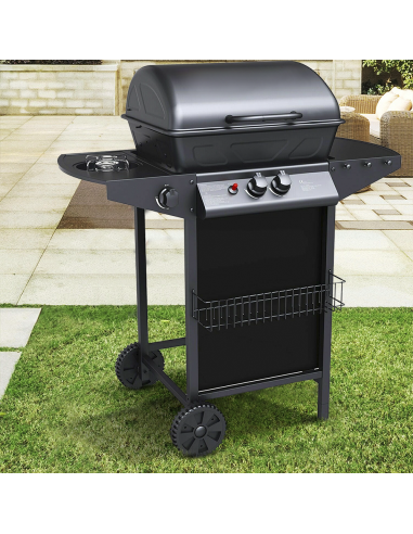 Barbecue a GAS con Fornello 2,9KW 2 Bruciatori...