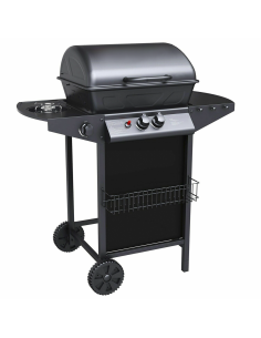 Barbecue a GAS con Fornello 2,9KW 2 Bruciatori con...