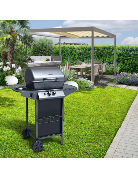 Barbecue a GAS con Fornello 2,9KW 2 Bruciatori con Coperchio e Griglia Acciaio