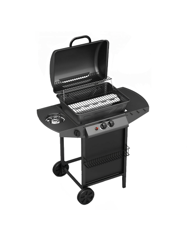 Barbecue a GAS con Fornello 2,9KW 2 Bruciatori...