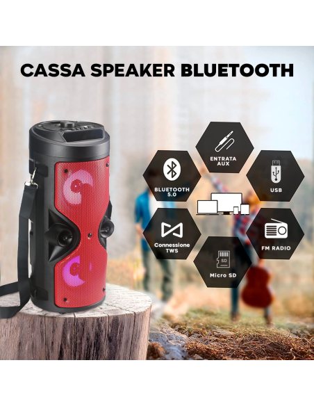 Cassa Speaker Altoparlante Bluetooth con Microfono Karaoke Luce LED Portatile