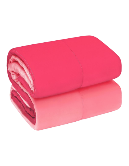 Trapunta Singola Piumone Invernale Imbottita Double Face 170x260cm Made in Italy