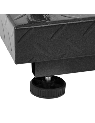 Bilancia Industriale 300kg Professionale ad...