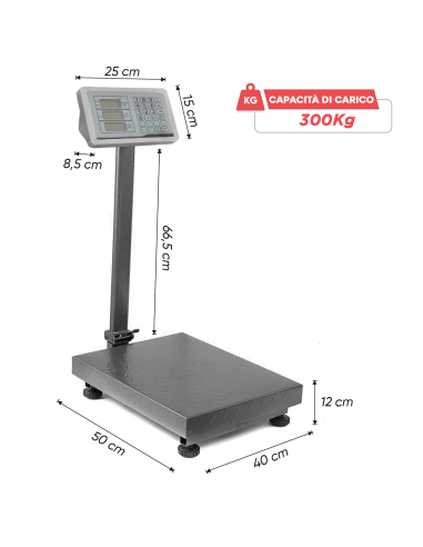 Bilancia Industriale 300kg Professionale ad...