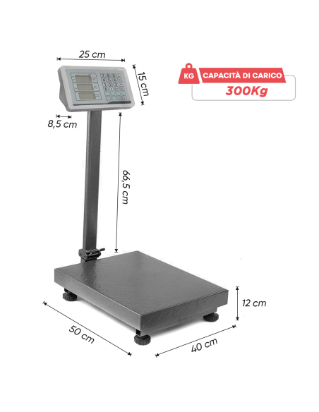 Bilancia Industriale 300kg Professionale ad Alta Precisione con Display LED