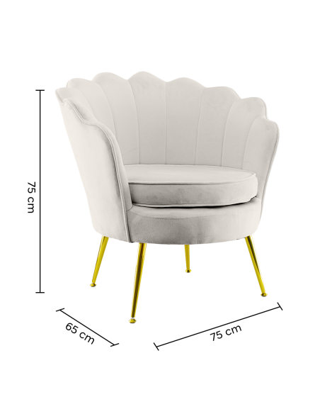 Poltrona Schienale a Conchiglia VENERE in Velluto Vintage Piedi Oro da Salotto