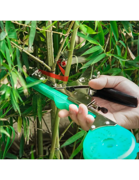 Pinza Legatrice Manuale a Nastro per Piante Spillatrice Giardinaggio e Vigneti