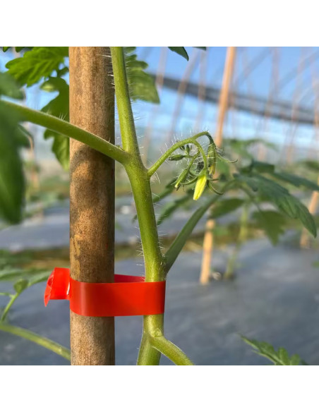 Pinza Legatrice Manuale a Nastro per Piante Spillatrice Giardinaggio e Vigneti