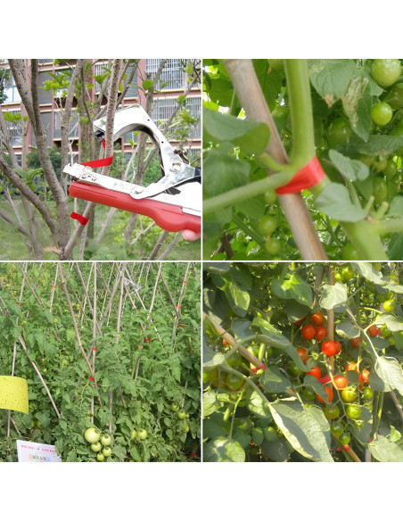 Pinza Legatrice Manuale a Nastro per Piante Spillatrice Giardinaggio e Vigneti