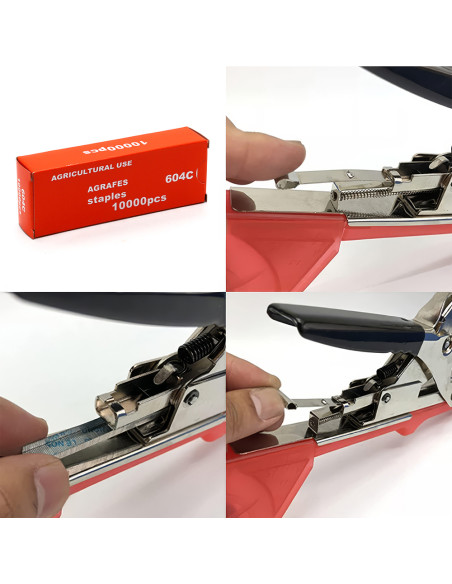 20 Rotoli Nastro e 10000 Graffette per Pinza Legatrice Manuale Piante e Vigneti