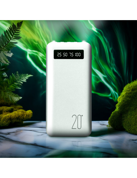 Power Bank 20000mAh Caricabatterie Rapido Portatile con 4 Cavi Inclusi USB